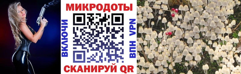 Псилоцибиновые грибы MAGIC MUSHROOMS  Городовиковск 